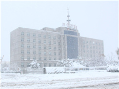 瑞雪兆豐年，踏雪沃爾華